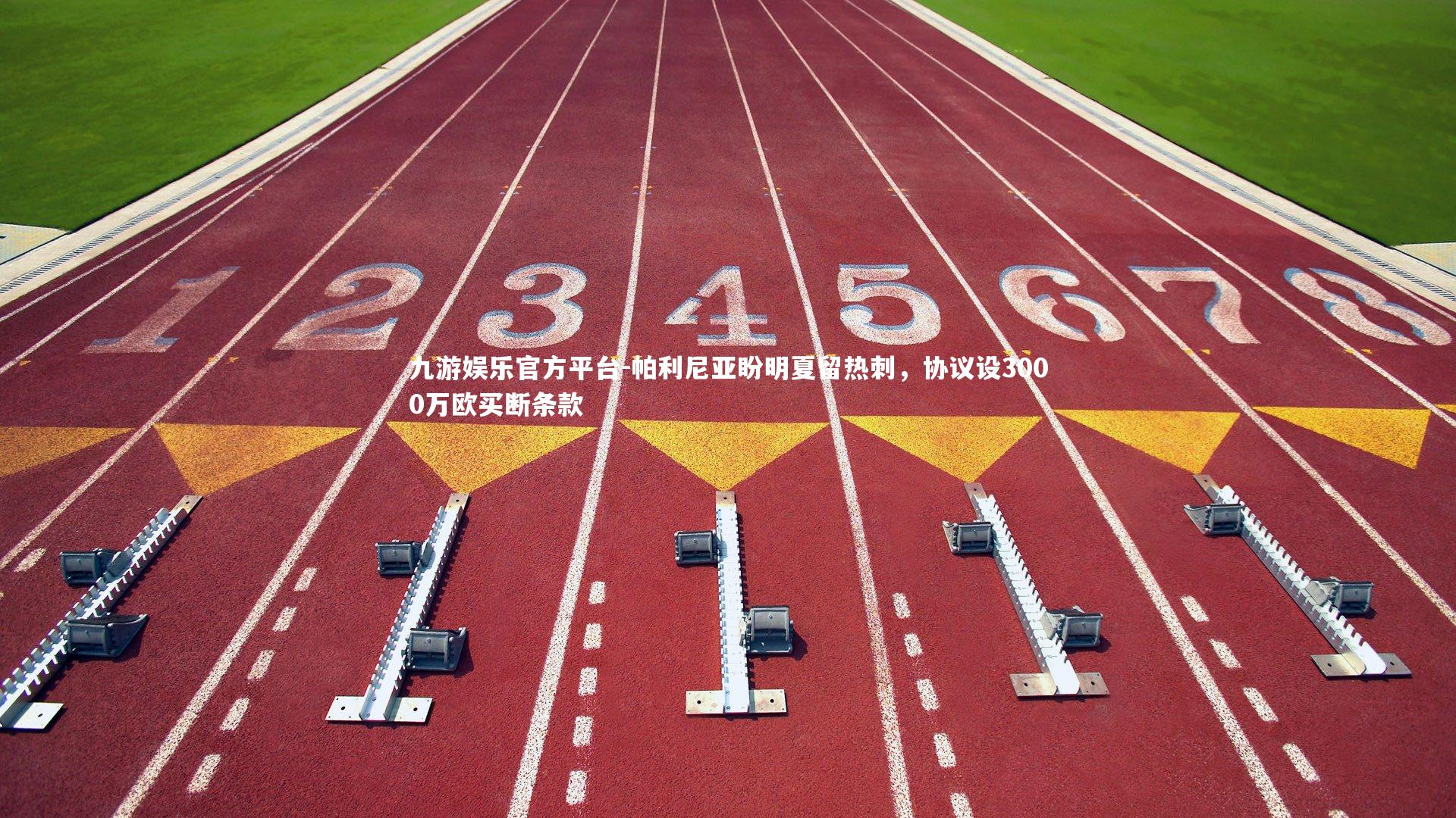 九游娱乐官方平台-帕利尼亚盼明夏留热刺，协议设3000万欧买断条款